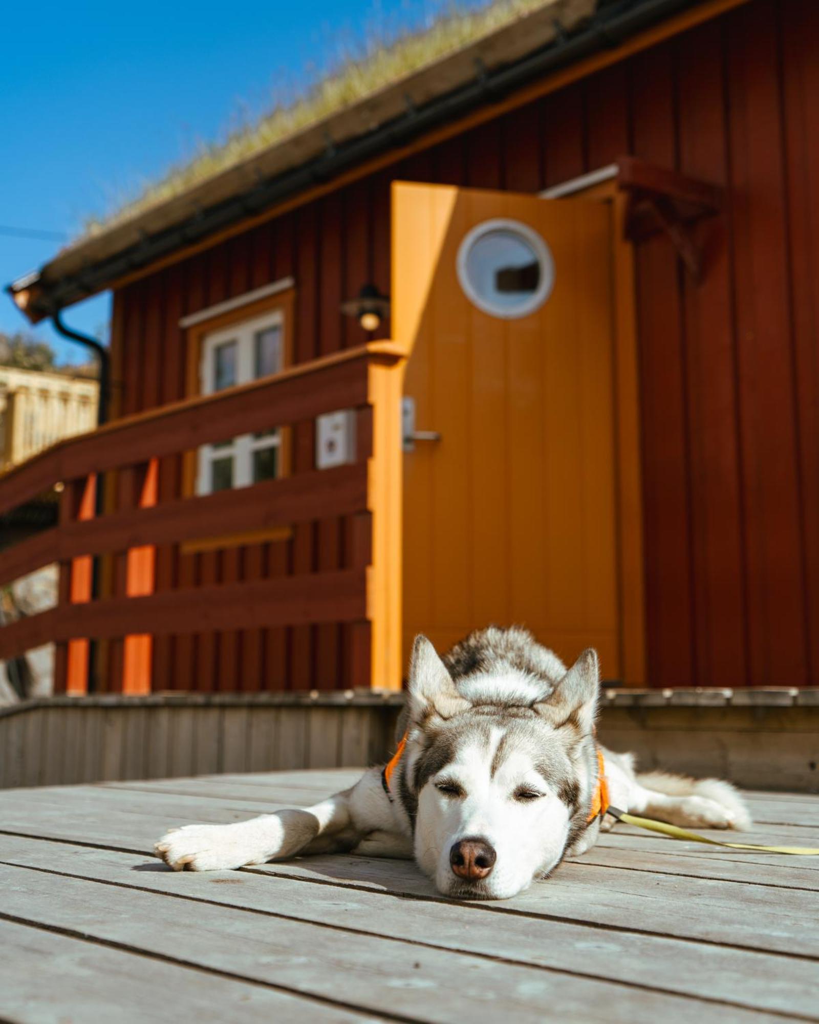 Reinefjorden Sjøhus Apartment