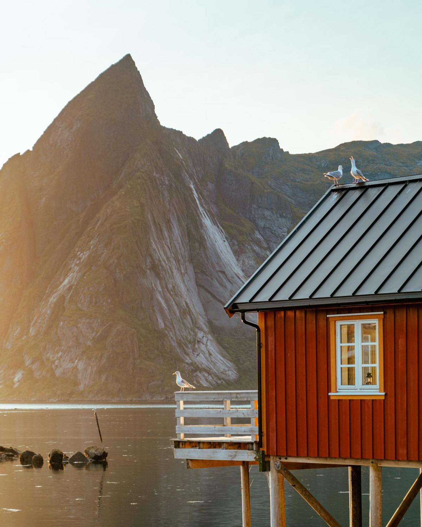 Reinefjorden Sjøhus Reine